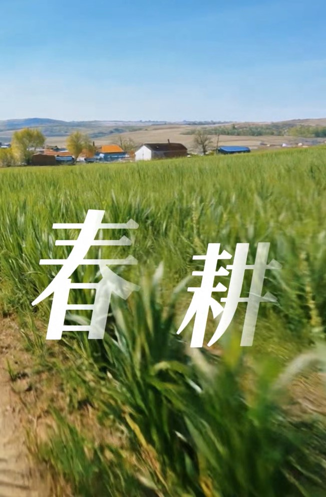 屏幕截图 2026-04-23 165859.jpg