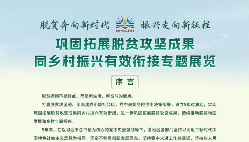 序言封面.png